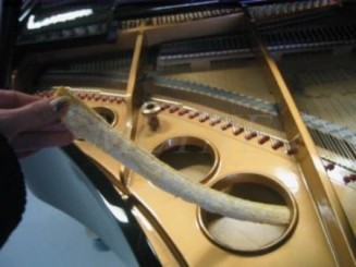 Clean Stick yellow JEMAKO 60 cm 