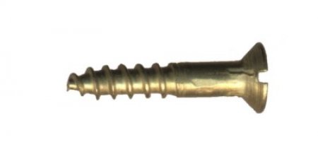 200 Ribbon screws 2.5 x 10 slot, brass 